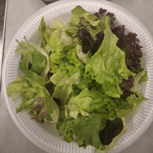 Grüner Salat