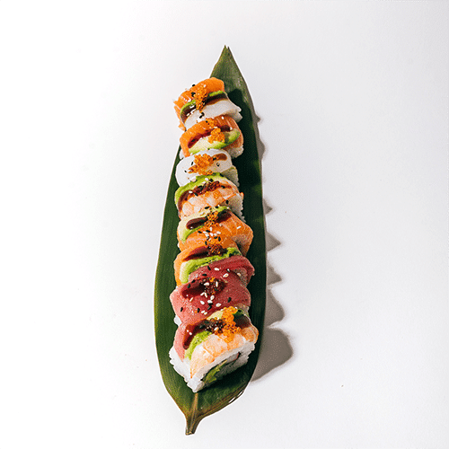 Signature Roll Rainbow (8 pièces)