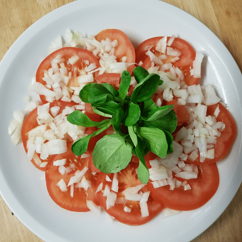 Insalata Pomodori