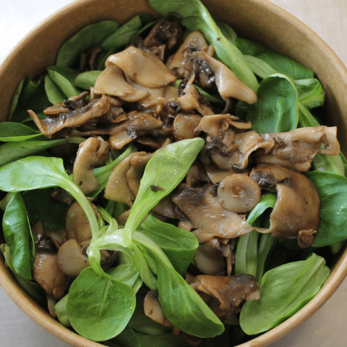 Nüsslisalat mit Champignons