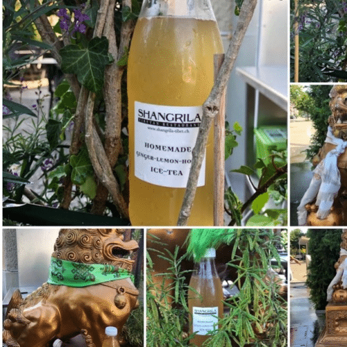 Shangrila Home Made Ice Tea 0,3l
