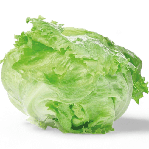 Eisbergsalat (1 stück)