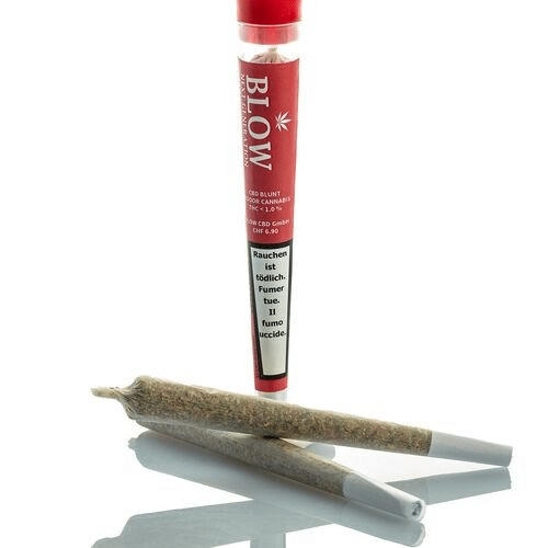 Blow Joint next Generation Red