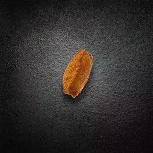 Nigiri Inari, 1 Stk.