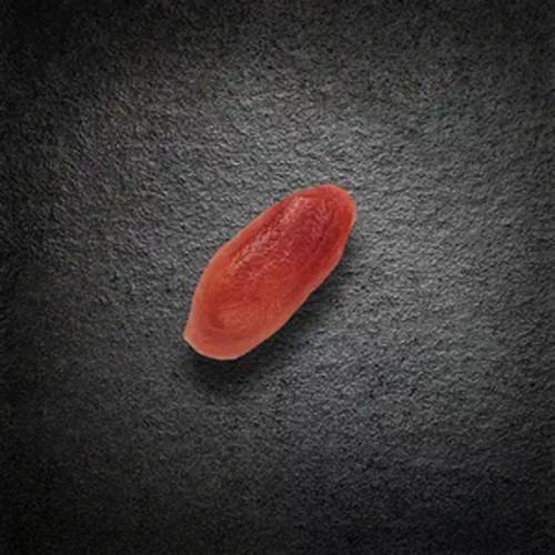 Nigiri Maguro, 1 Stk.