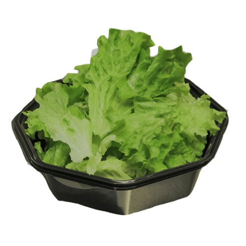Salade verte