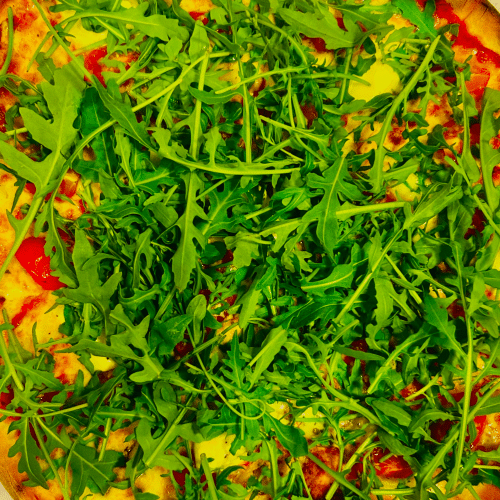 Pizza Fresh