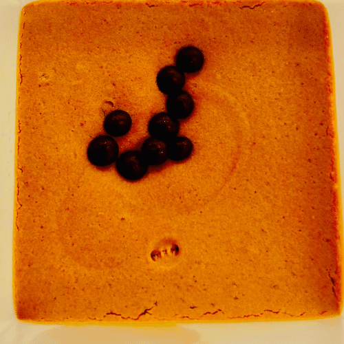 Schoggi Mousse