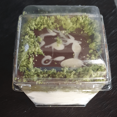 Dubai Dessert