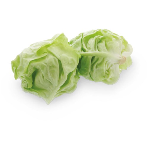 Kopfsalat Herzen 2 Stk