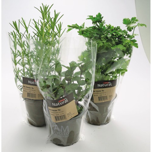 SPAR Nat. Bio-Kraeuter Mix Im Topf