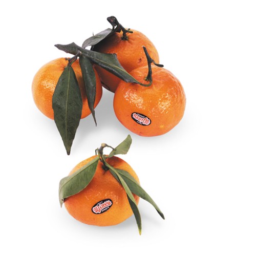 Clementinen mit Blatt Korb 750g