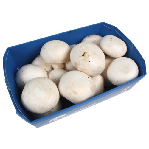 Champignons Weiss 250g