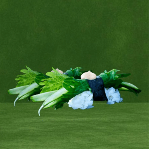 Gurken Nigiri