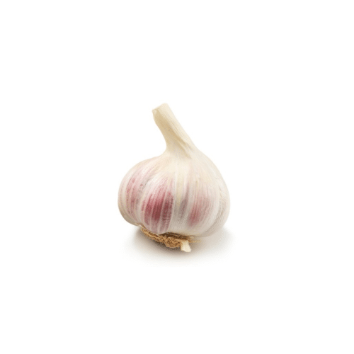 Knoblauch 1st