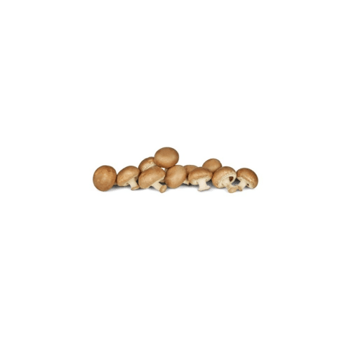 Champignons braun 300g