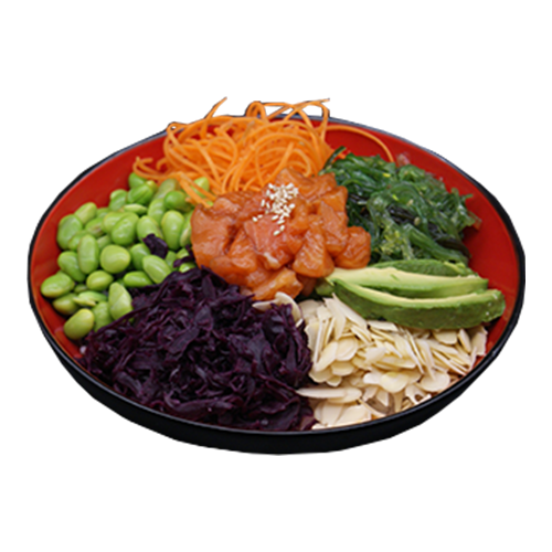 Salmon Bowl