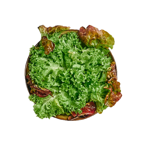 Insalata Verde