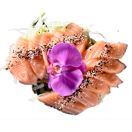 Sake Sashimi