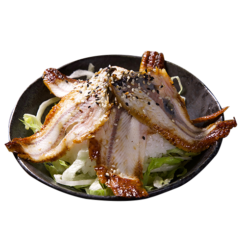 Unagi Don