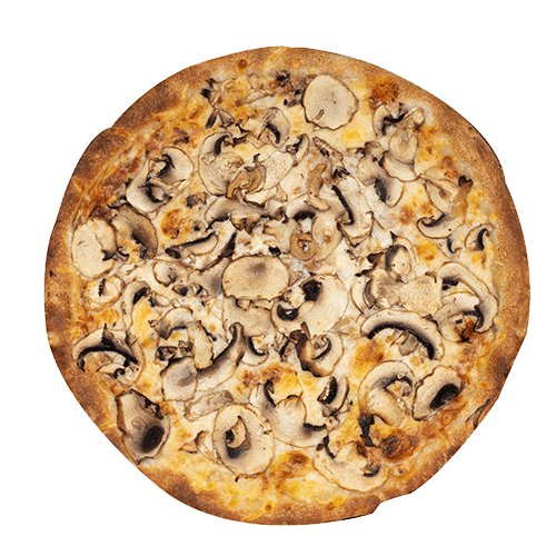 Pizza Funghi