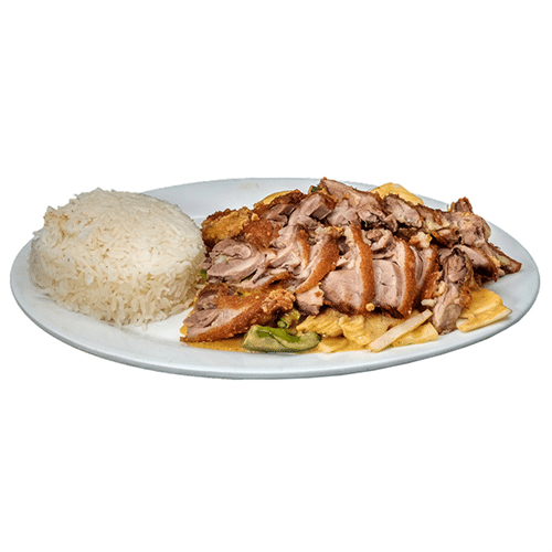Ente Knusprig mit rotem Thai Curry, Kokosmilch und Gemüse