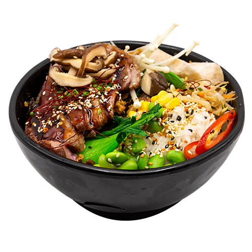 Menü Kamo Donburi