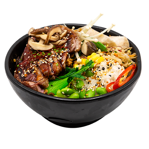 Kamo Donburi (warm)