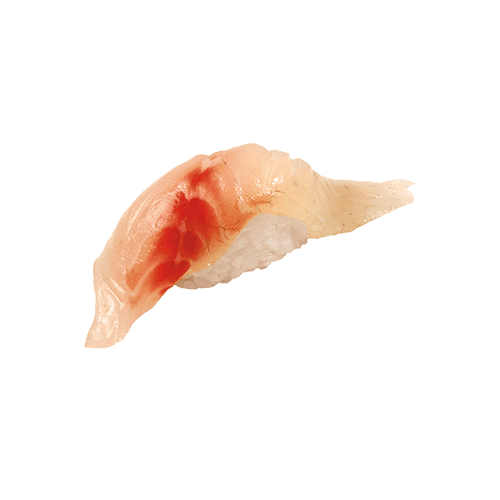 Shiromi Nigiri
