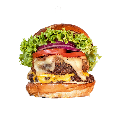 Twin Taste Burger