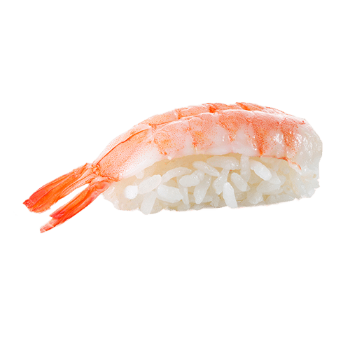 Nigiri Ebi