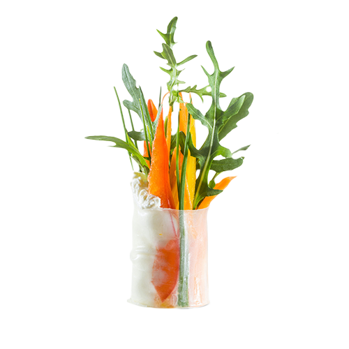 Rocket Spring Sensation