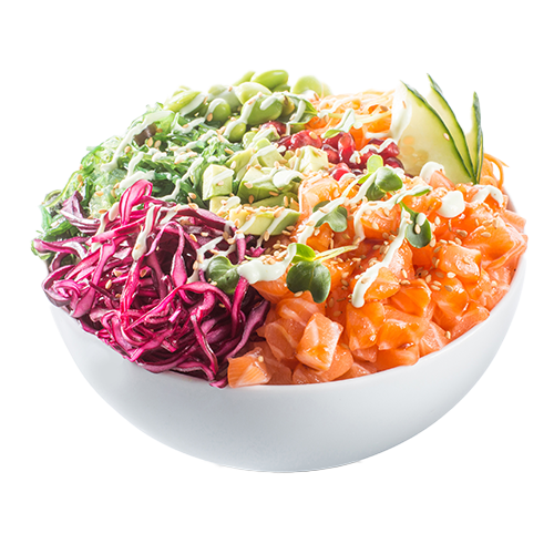 Salmon Bowl