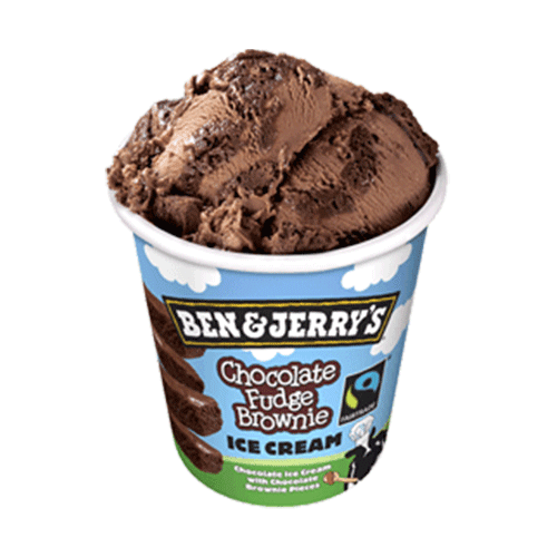 Chocolate Fudge Brownie 470ml