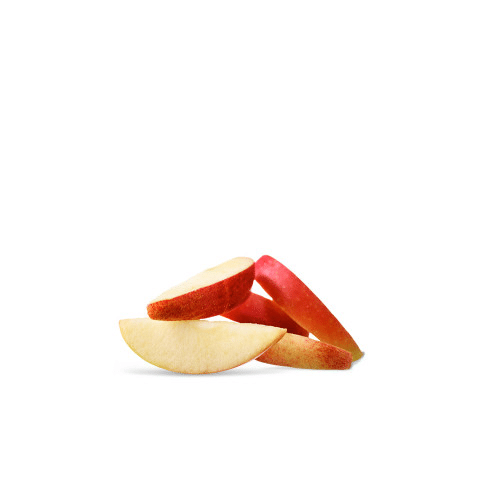 ÆBLER