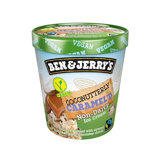 Non Dairy: Ben & Jerry's Coconutterly Caramel'd