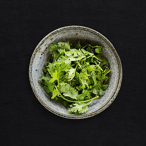 Coriander