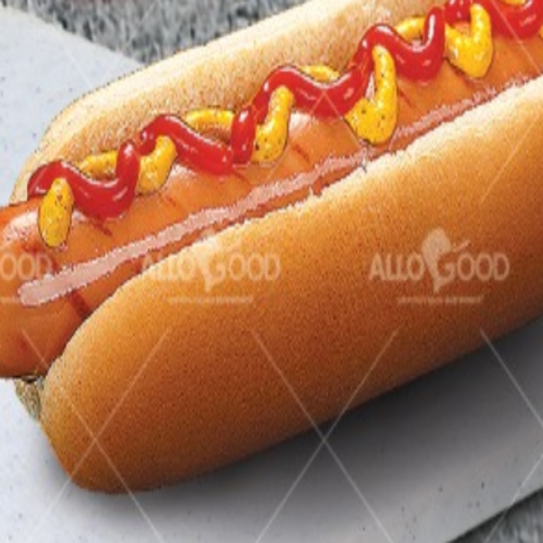 Tonton dog