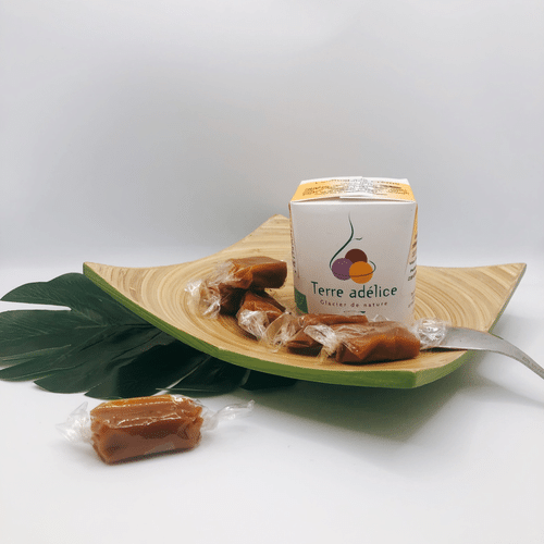 Glace Artisanale CARAMEL BIO 120 ml (Terre Adelice)