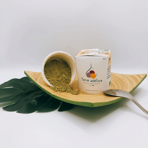 Glace Artisanale THÉ VERT BIO 120 ml (Terre Adelice)