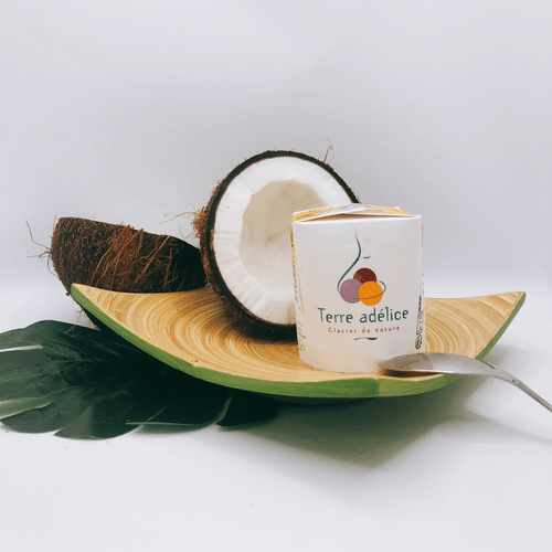 Sorbet Artisanal NOIX DE COCO BIO 120 ml (Terre Adelice)