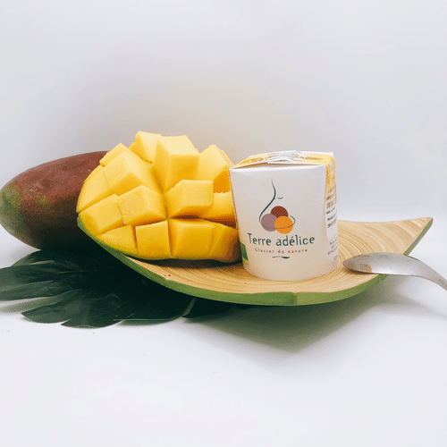 Sorbet Artisanal MANGUE BIO 120 ml (Terre Adelice)