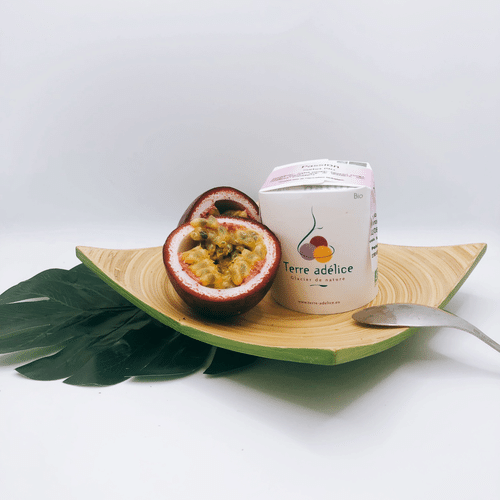 Sorbet Artisanal PASSION BIO 120 ml (Terre Adelice)