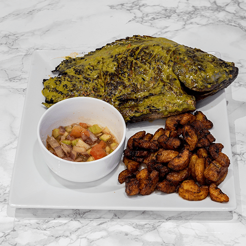 Tilapia