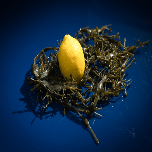 Citron bio