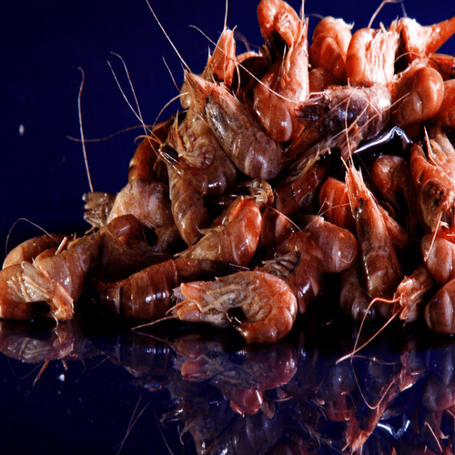 Crevettes grises