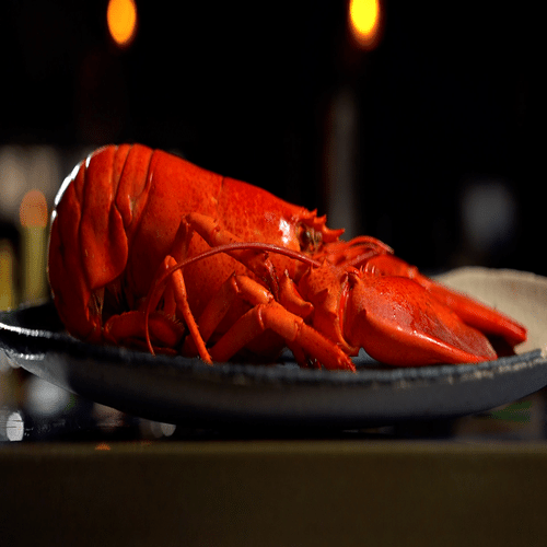1 homard Breton