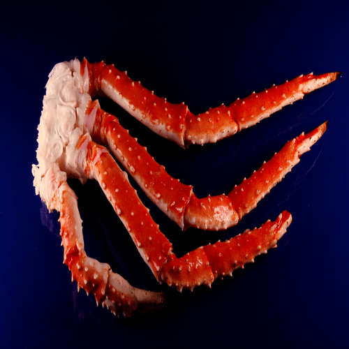 Pince king crabe