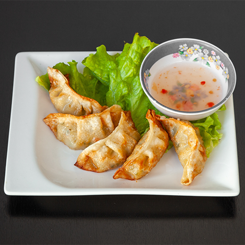 Gyoza aux légumes 5x