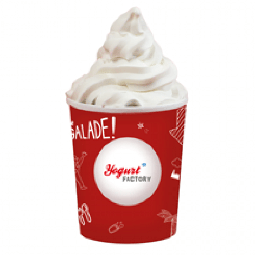 Pot de yaourt glacé grandiose 1L